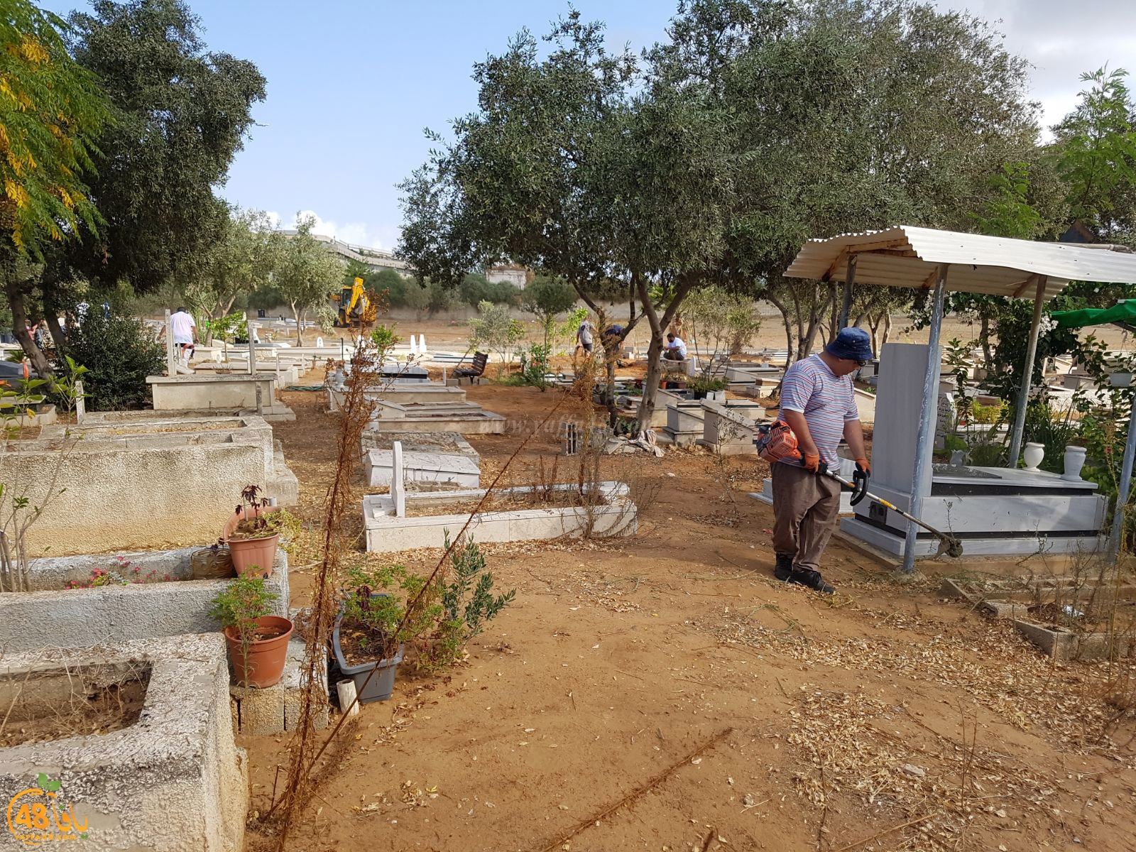 tasoo tandefet (43).jpg